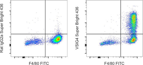 VSIG4 Monoclonal Antibody (NLA14), Super Bright 436, eBioscience