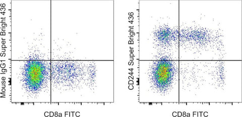 CD244 Monoclonal Antibody (eBioC1.7 (C1.7)), Super Bright™ 436