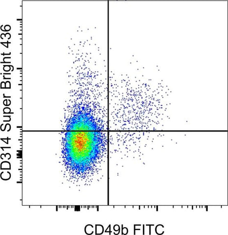 CD314 (NKG2D) Monoclonal Antibody (CX5), Super Bright 436, eBioscience