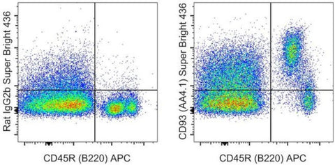 CD93 (AA4.1) Monoclonal Antibody (AA4.1), Super Bright™ 436