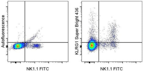 KLRG1 Monoclonal Antibody (2F1), Super Bright 436, eBioscience