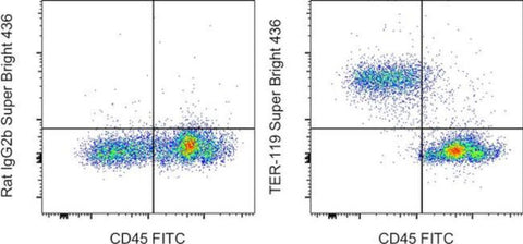 TER-119 Monoclonal Antibody (TER-119), Super Bright 436, eBioscience