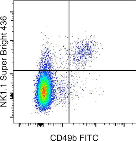NK1.1 Monoclonal Antibody (PK136), Super Bright 436, eBioscience