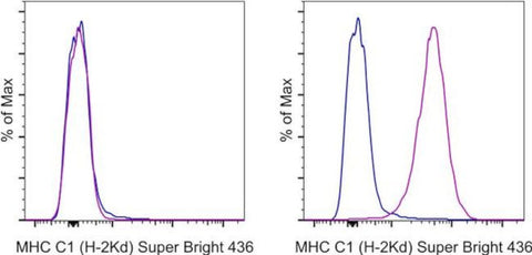 MHC Class I (H-2Kd) Monoclonal Antibody (SF1-1.1.1), Super Bright 436, eBioscience
