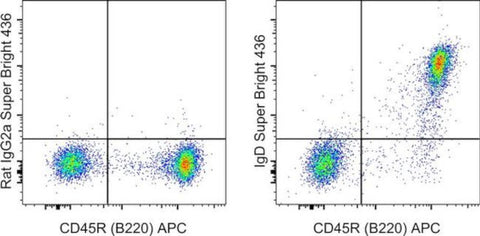 IgD Monoclonal Antibody (11-26c (11-26)), Super Bright 436, eBioscience