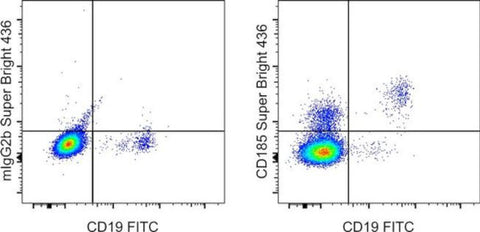 CD185 (CXCR5) Monoclonal Antibody (MU5UBEE), Super Bright 436, eBioscience
