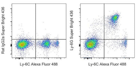 Ly-6G Monoclonal Antibody (1A8-Ly6g), Super Bright 436, eBioscience