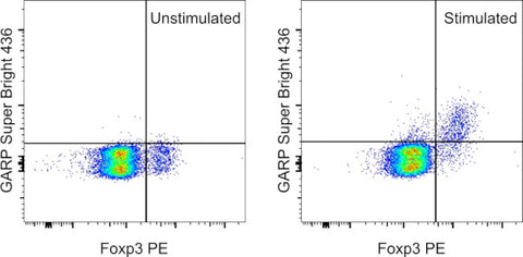 GARP Monoclonal Antibody (YGIC86), Super Bright 436, eBioscience
