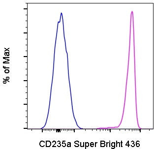 CD235a (Glycophorin A) Monoclonal Antibody (HIR2 (GA-R2)), Super Bright 436, eBioscience