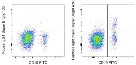 Lambda light chain Monoclonal Antibody (1-155-2), Super Bright 436, eBioscience