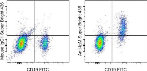 IgM Monoclonal Antibody (SA-DA4), Super Bright 436, eBioscience