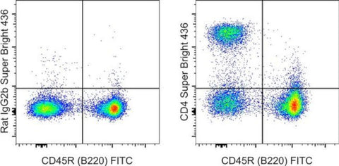 CD4 Monoclonal Antibody (GK1.5), Super Bright 436, eBioscience