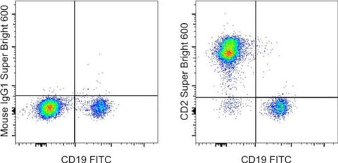 CD2 Monoclonal Antibody (RPA-2.10), Super Bright 600, eBioscience
