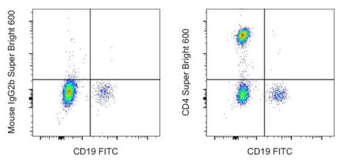 CD4 Monoclonal Antibody (OKT4 (OKT-4)), Super Bright 600, eBioscience