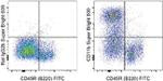 CD11b Monoclonal Antibody (M1/70), Super Bright™ 600