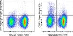 CD11c Monoclonal Antibody (N418), Super Bright™ 600