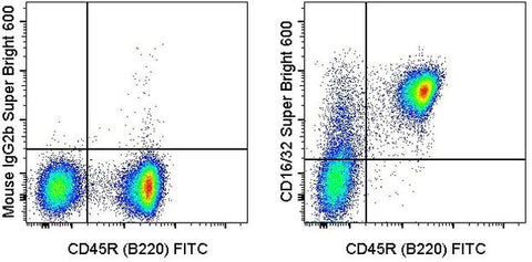CD16/CD32 Monoclonal Antibody (93), Super Bright 600, eBioscience