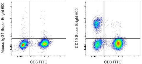 CD19 Monoclonal Antibody (HIB19), Super Bright 600, eBioscience