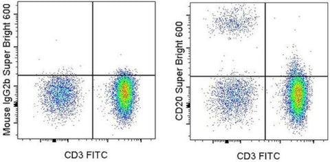 CD20 Monoclonal Antibody (2H7), Super Bright™ 600