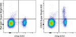 CD25 Monoclonal Antibody (PC61.5), Super Bright™ 600