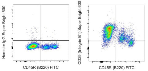 CD29 (Integrin beta 1) Monoclonal Antibody (eBioHMb1-1 (HMb1-1)), Super Bright 600, eBioscience