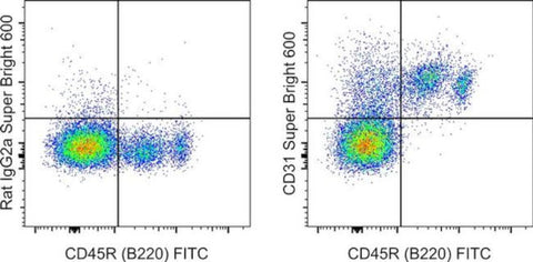 CD31 (PECAM-1) Monoclonal Antibody (390), Super Bright 600, eBioscience