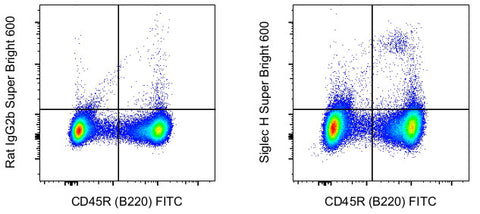 SIGLEC H Monoclonal Antibody (eBio440c), Super Bright™ 600