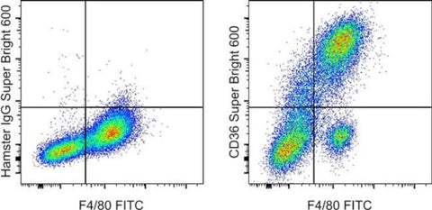 CD36 Monoclonal Antibody (HM36), Super Bright 600, eBioscience