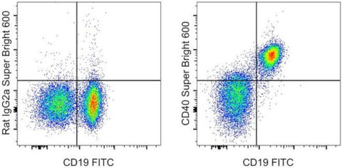 CD40 Monoclonal Antibody (1C10), Super Bright 600, eBioscience