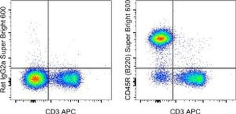 CD45R (B220) Monoclonal Antibody (RA3-6B2), Super Bright 600, eBioscience