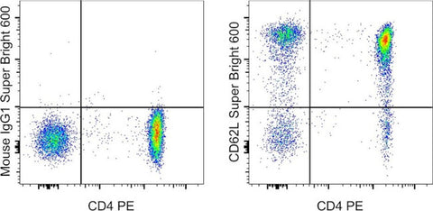 CD62L (L-Selectin) Monoclonal Antibody (DREG-56 (DREG56)), Super Bright 600, eBioscience