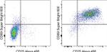 CD69 Monoclonal Antibody (H1.2F3), Super Bright™ 600