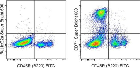 CD71 (Transferrin Receptor) Monoclonal Antibody (R17217 (RI7 217.1.4)), Super Bright 600, eBioscience