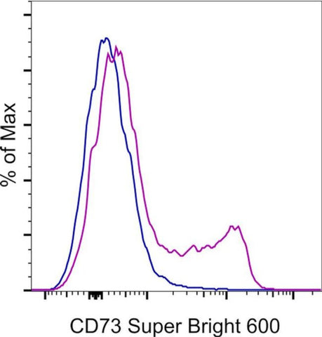CD73 Monoclonal Antibody (AD2), Super Bright 600, eBioscience