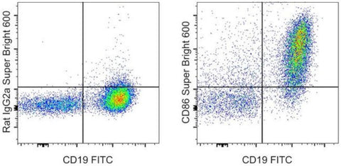 CD86 (B7-2) Monoclonal Antibody (GL1), Super Bright 600, eBioscience