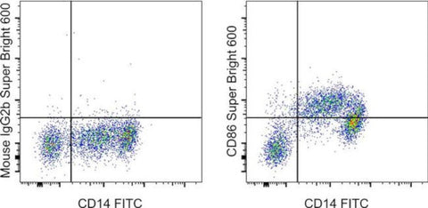 CD86 (B7-2) Monoclonal Antibody (IT2.2), Super Bright 600, eBioscience