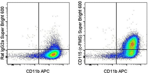 CD115 (c-fms) Monoclonal Antibody (AFS98), Super Bright 600, eBioscience
