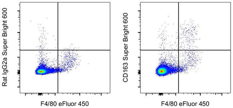 CD163 Monoclonal Antibody (TNKUPJ), Super Bright 600, eBioscience