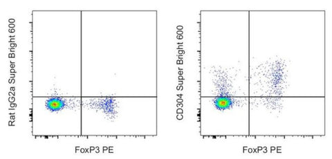 CD304 (Neuropilin-1) Monoclonal Antibody (3DS304M), Super Bright 600, eBioscience