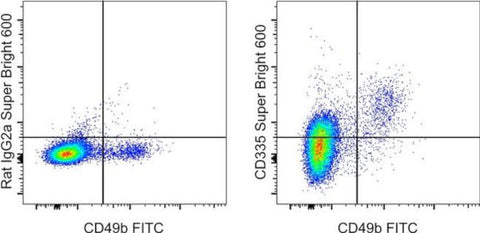 CD335 (NKp46) Monoclonal Antibody (29A1.4), Super Bright™ 600