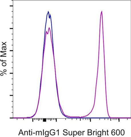 Rat anti-Mouse IgG1 Secondary Antibody, Super Bright 600, eBioscience