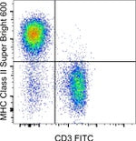 MHC Class II (I-A/I-E) Monoclonal Antibody (M5/114.15.2), Super Bright™ 600