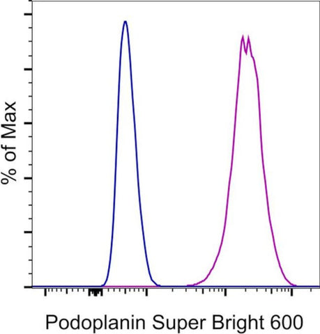 Podoplanin Monoclonal Antibody (eBio8.1.1 (8.1.1)), Super Bright™ 600