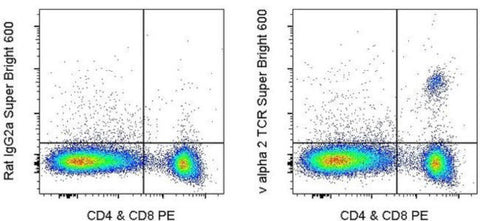 TCR V alpha 2 Monoclonal Antibody (B20.1), Super Bright™ 600