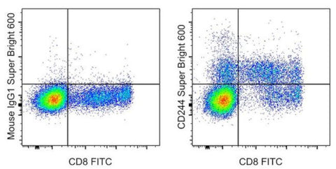 CD244 Monoclonal Antibody (eBioC1.7 (C1.7)), Super Bright™ 600