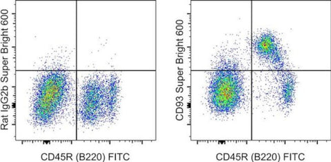 CD93 (AA4.1) Monoclonal Antibody (AA4.1), Super Bright 600, eBioscience