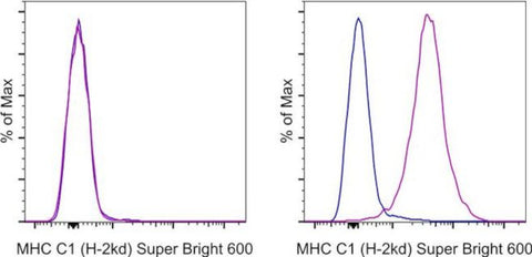 MHC Class I (H-2Kd) Monoclonal Antibody (SF1-1.1.1), Super Bright 600, eBioscience