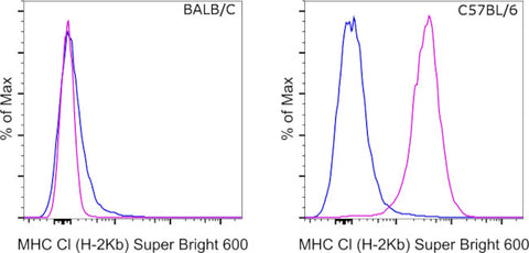 MHC Class I (H-2kb) Monoclonal Antibody (AF6-88.5.5.3), Super Bright 600, eBioscience