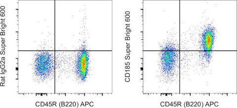 CD185 (CXCR5) Monoclonal Antibody (SPRCL5), Super Bright 600, eBioscience