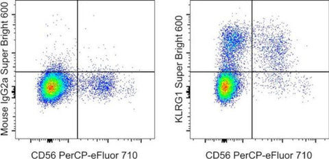 KLRG1 Monoclonal Antibody (13F12F2), Super Bright 600, eBioscience